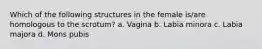 Which of the following structures in the female is/are homologous to the scrotum? a. Vagina b. Labia minora c. Labia majora d. Mons pubis