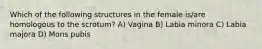 Which of the following structures in the female is/are homologous to the scrotum? A) Vagina B) Labia minora C) Labia majora D) Mons pubis