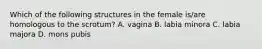 Which of the following structures in the female is/are homologous to the scrotum? A. vagina B. labia minora C. labia majora D. mons pubis