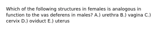 Which of the following structures in females is analogous in function to the vas deferens in males? A.) urethra B.) vagina C.) cervix D.) oviduct E.) uterus