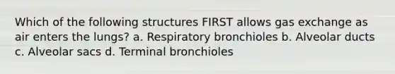 Which of the following structures FIRST allows gas exchange as air enters the lungs? a. Respiratory bronchioles b. Alveolar ducts c. Alveolar sacs d. Terminal bronchioles