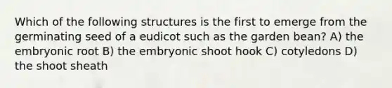 Which of the following structures is the first to emerge from the germinating seed of a eudicot such as the garden bean? A) the embryonic root B) the embryonic shoot hook C) cotyledons D) the shoot sheath