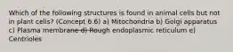 Which of the following structures is found in animal cells but not in plant cells? (Concept 6.6) a) Mitochondria b) Golgi apparatus c) Plasma membrane d) Rough endoplasmic reticulum e) Centrioles