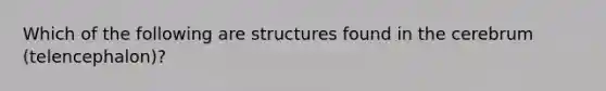 Which of the following are structures found in the cerebrum (telencephalon)?