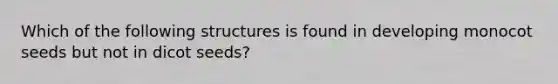 Which of the following structures is found in developing monocot seeds but not in dicot seeds?