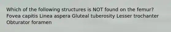 Which of the following structures is NOT found on the femur? Fovea capitis Linea aspera Gluteal tuberosity Lesser trochanter Obturator foramen