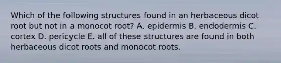 Which of the following structures found in an herbaceous dicot root but not in a monocot root? A. epidermis B. endodermis C. cortex D. pericycle E. all of these structures are found in both herbaceous dicot roots and monocot roots.