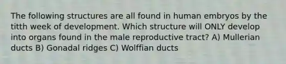 The following structures are all found in human embryos by the titth week of development. Which structure will ONLY develop into organs found in the male reproductive tract? A) Mullerian ducts B) Gonadal ridges C) Wolffian ducts