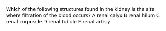 Which of the following structures found in the kidney is the site where filtration of the blood occurs? A renal calyx B renal hilum C renal corpuscle D renal tubule E renal artery