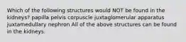 Which of the following structures would NOT be found in the kidneys? papilla pelvis corpuscle juxtaglomerular apparatus juxtamedullary nephron All of the above structures can be found in the kidneys.