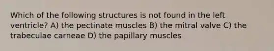 Which of the following structures is not found in the left ventricle? A) the pectinate muscles B) the mitral valve C) the trabeculae carneae D) the papillary muscles