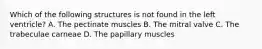 Which of the following structures is not found in the left ventricle? A. The pectinate muscles B. The mitral valve C. The trabeculae carneae D. The papillary muscles