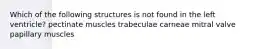 Which of the following structures is not found in the left ventricle? pectinate muscles trabeculae carneae mitral valve papillary muscles