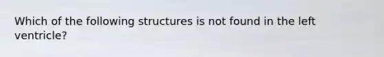 Which of the following structures is not found in the left ventricle?