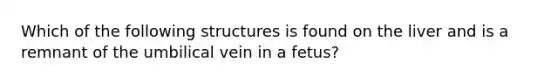 Which of the following structures is found on the liver and is a remnant of the umbilical vein in a fetus?