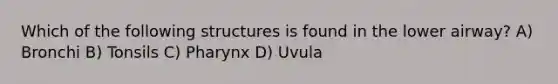 Which of the following structures is found in the lower airway? A) Bronchi B) Tonsils C) Pharynx D) Uvula