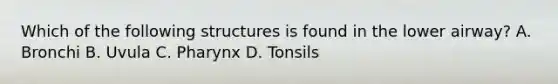 Which of the following structures is found in the lower​ airway? A. Bronchi B. Uvula C. Pharynx D. Tonsils