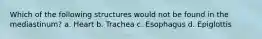 Which of the following structures would not be found in the mediastinum? a. Heart b. Trachea c. Esophagus d. Epiglottis