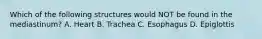 Which of the following structures would NOT be found in the mediastinum? A. Heart B. Trachea C. Esophagus D. Epiglottis