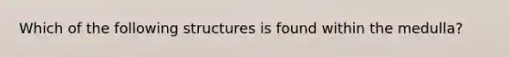 Which of the following structures is found within the medulla?