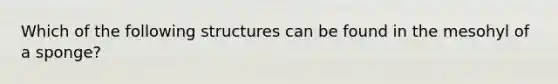 Which of the following structures can be found in the mesohyl of a sponge?