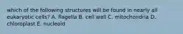 which of the following structures will be found in nearly all eukaryotic cells? A. flagella B. cell wall C. mitochondria D. chloroplast E. nucleoid