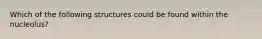 Which of the following structures could be found within the nucleolus?