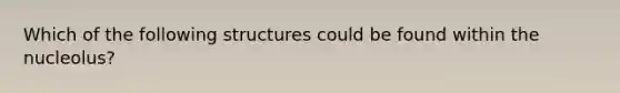 Which of the following structures could be found within the nucleolus?