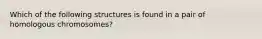 Which of the following structures is found in a pair of homologous chromosomes?