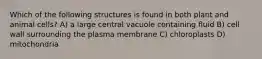 Which of the following structures is found in both plant and animal cells? A) a large central vacuole containing fluid B) cell wall surrounding the plasma membrane C) chloroplasts D) mitochondria