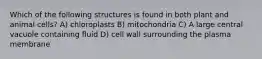 Which of the following structures is found in both plant and animal cells? A) chloroplasts B) mitochondria C) A large central vacuole containing fluid D) cell wall surrounding the plasma membrane