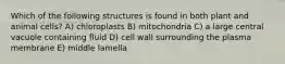 Which of the following structures is found in both plant and animal cells? A) chloroplasts B) mitochondria C) a large central vacuole containing fluid D) cell wall surrounding the plasma membrane E) middle lamella