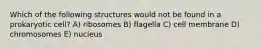 Which of the following structures would not be found in a prokaryotic cell? A) ribosomes B) flagella C) cell membrane D) chromosomes E) nucleus