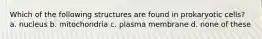 Which of the following structures are found in prokaryotic cells? a. nucleus b. mitochondria c. plasma membrane d. none of these
