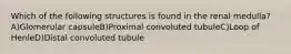 Which of the following structures is found in the renal medulla? A)Glomerular capsuleB)Proximal convoluted tubuleC)Loop of HenleD)Distal convoluted tubule