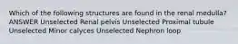 Which of the following structures are found in the renal medulla? ANSWER Unselected Renal pelvis Unselected Proximal tubule Unselected Minor calyces Unselected Nephron loop