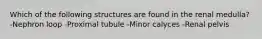 Which of the following structures are found in the renal medulla? -Nephron loop -Proximal tubule -Minor calyces -Renal pelvis