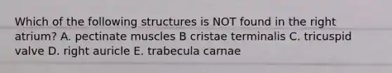 Which of the following structures is NOT found in the right atrium? A. pectinate muscles B cristae terminalis C. tricuspid valve D. right auricle E. trabecula carnae