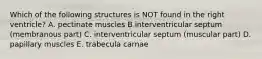 Which of the following structures is NOT found in the right ventricle? A. pectinate muscles B interventricular septum (membranous part) C. interventricular septum (muscular part) D. papillary muscles E. trabecula carnae