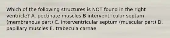 Which of the following structures is NOT found in the right ventricle? A. pectinate muscles B interventricular septum (membranous part) C. interventricular septum (muscular part) D. papillary muscles E. trabecula carnae