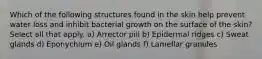 Which of the following structures found in the skin help prevent water loss and inhibit bacterial growth on the surface of the skin? Select all that apply. a) Arrector pili b) Epidermal ridges c) Sweat glands d) Eponychium e) Oil glands f) Lamellar granules