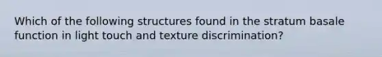 Which of the following structures found in the stratum basale function in light touch and texture discrimination?