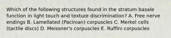 Which of the following structures found in the stratum basale function in light touch and texture discrimination? A. Free nerve endings B. Lamellated (Pacinian) corpuscles C. Merkel cells (tactlie discs) D. Meissner's corpuscles E. Ruffini corpuscles