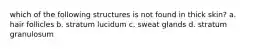 which of the following structures is not found in thick skin? a. hair follicles b. stratum lucidum c. sweat glands d. stratum granulosum