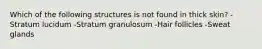 Which of the following structures is not found in thick skin? -Stratum lucidum -Stratum granulosum -Hair follicles -Sweat glands