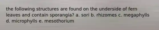 the following structures are found on the underside of fern leaves and contain sporangia? a. sori b. rhizomes c. megaphylls d. microphylls e. mesothorium