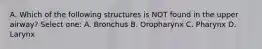 A. Which of the following structures is NOT found in the upper airway? Select one: A. Bronchus B. Oropharynx C. Pharynx D. Larynx