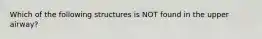 Which of the following structures is NOT found in the upper airway?