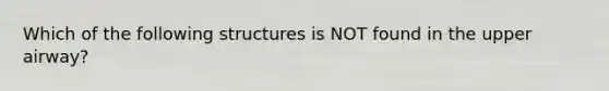 Which of the following structures is NOT found in the upper airway?