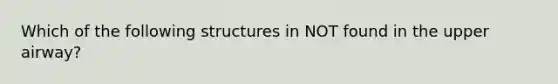 Which of the following structures in NOT found in the upper airway?